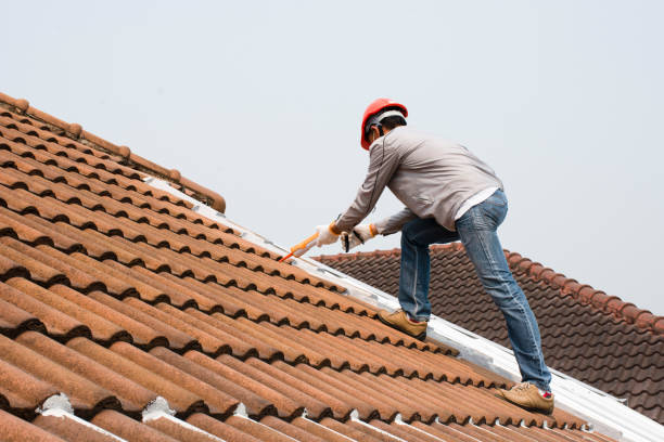 Best Steel Roofing  in Vander, NC